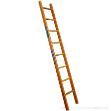 LADDERS